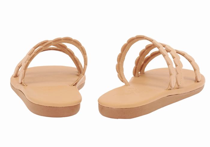 Sandales à Glissière Ancient Greek Sandals Oceanis   | ZFW-3397279